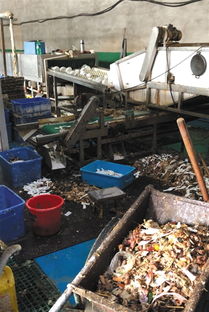 對手抹黑還是行業亂象？消毒餐具工廠曝光事件背后的博弈